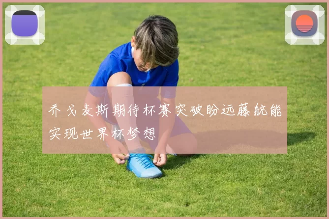 乔戈麦斯期待杯赛突破盼远藤航能实现世界杯梦想